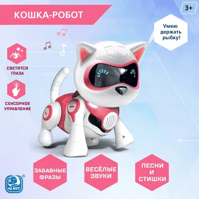 Зелёноглазый кот шокированный своей первой зимой сидит в снегу - обои на рабочий  стол