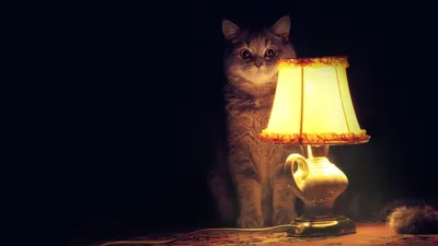 Обои для рабочего стола коты Животные Рисованные
