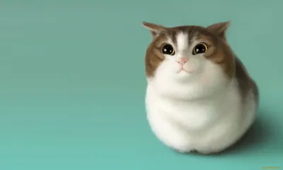 Обои кошка, кот, арт на рабочий стол