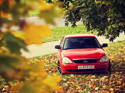 большой летний фото обзор — Lada Приора универсал, 1,6 л, 2012 года |  фотография | DRIVE2