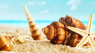 Обои лето у моря на рабочий стол. Картинки обои лето у моря