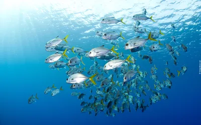 На рабочий стол лето море на весь экран - 50 картинок