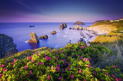 Заставки на телефон красивые лето большие на весь экран - фото и картинки  abrakadabra.fun