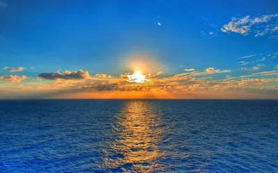 Пальма и море, картинки, бесплатные заставки на рабочий стол.