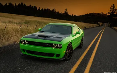 Обои дорогие автомобили 2560x1440 фото авто обои машины HD wallpapers cars  скачать обои высокого качества