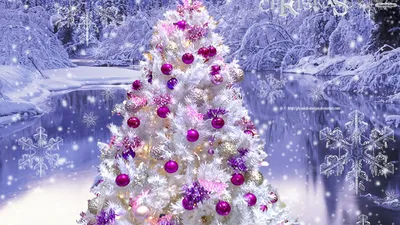 Обои на рабочий стол: Елки, Рождество (Christmas Xmas), Зима, Новый Год  (New Year), Рисунки - скачать картинку на ПК бесплатно № 14532