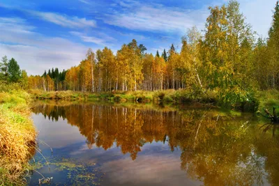 Картинки на рабочий стол осень большие фотографии