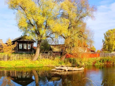 Деревня осенью - фото и картинки: 85 штук