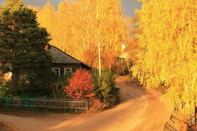 Природа зима деревня (57 фото) - 57 фото