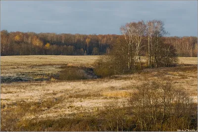 Глубокая осень в деревне - обои на рабочий стол