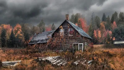 Обои королевский, осень, раздел Природа, размер 1920x1200 HD WUXGA -  скачать бесплатно картинку на рабочий стол и телефон