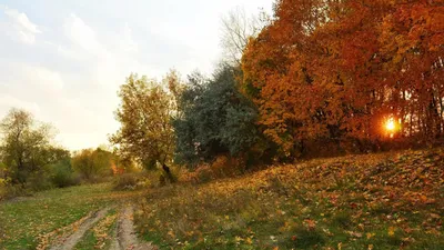 Красивая осень обои для рабочего стола, картинки и фото - RabStol.net