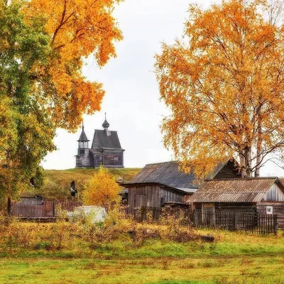 Золотая осень в деревне картинки - красивые