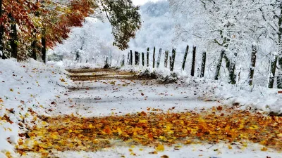 Картинки на рабочий стол осень зима фотографии