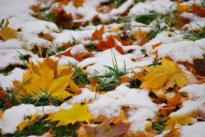 Nature Winter HD Wallpaper