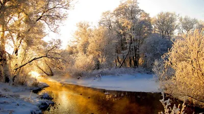Картинки Зима Осень Природа снегу