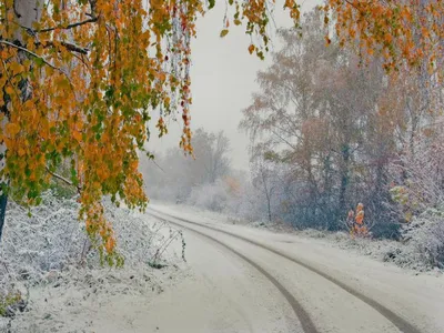 Обои \"Зима и Новый год\" на рабочий стол: самые яркие! | Wallpaper iphone  christmas, Holiday wallpaper, Christmas wallpaper