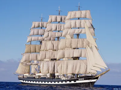 Обои Pirate ships Корабли Парусники, обои для рабочего стола, фотографии  pirate, ships, корабли, парусники, причал, парусные, пираты, реконструкция,  туман Обои для рабочего стола, скачать обои картинки заставки на рабочий  стол.