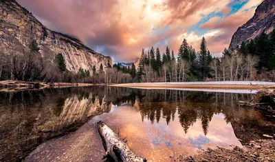 Обои пин, кев, pinterest, раздел Природа, размер 1920x1200 HD WUXGA -  скачать бесплатно картинку на рабочий стол и телефон