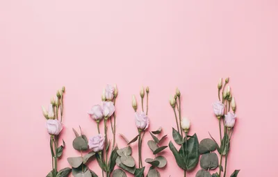 Хочу рабочий стол, как в Pinterest, но… | Дом в унисон | Дзен