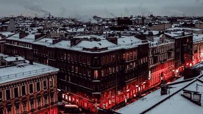 St. petersburg обои для рабочего стола, картинки и фото