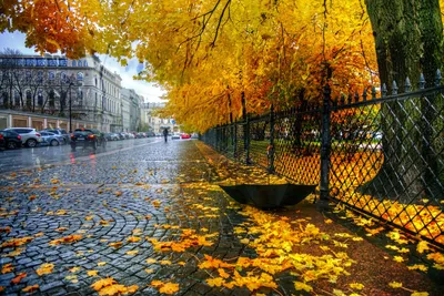 Петербург обои на рабочий стол - фото и картинки abrakadabra.fun