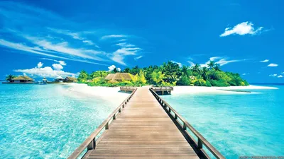 Обои пляж, волна, прибой, море, вода картинки на рабочий стол, фото скачать  бесплатно