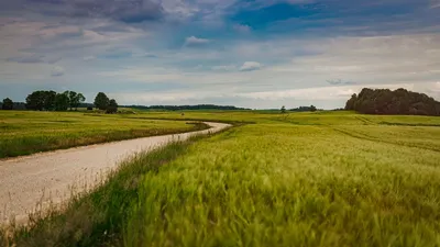 Обои поле, дорога, природа, лето картинки на рабочий стол, фото скачать  бесплатно