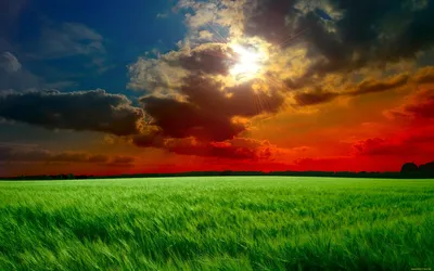 рабочий стол с голубым небом и желтыми цветами. загородный фон с полем  Rapeseed и пространством копирования. сырье для Стоковое Изображение -  изображение насчитывающей ферма, урожай: 225073677