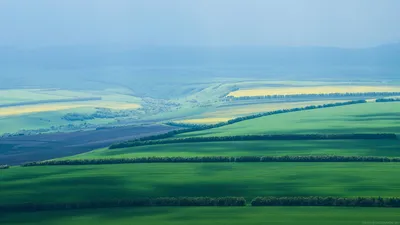 Обои для рабочего стола Поля Цветы Подсолнечник 1920x1080