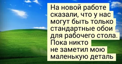 17 шикарных заставок для рабочего стола, до которых могли додуматься только  гении / AdMe