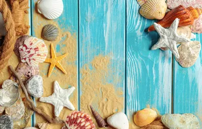 Обои ракушки - фото и картинки abrakadabra.fun