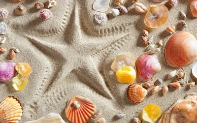 Обои Разное Ракушки, кораллы, декоративные и spa-камни, обои для рабочего  стола, фотографии разное, ракушки, кораллы, декоративные и spa-камни,  песок, звезда Обои для рабочего стола, скачать обои картинки заставки на рабочий  стол.