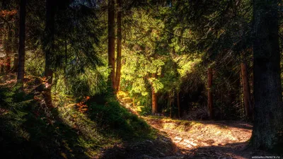 Wallpapers - Full HD Web Pack#45 (30 обоев) » Обои для рабочего стола,  красивые картинки. Ежедневно