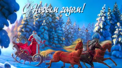 Скачать обои цветы, природа, макро фото, красота, обои на рабочий стол  разрешение 1920x1200 #5269