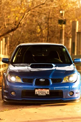 Фото Subaru Impreza WRX STi - автомобильные обои для рабочего стола на  NovgorodAUTO.ru