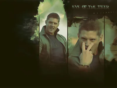 Обои на рабочий стол Dean Winchester / Дин Винчестер из сериал Supernatural  / Сверхъестественное, обои для рабочего стола, скачать обои, обои бесплатно
