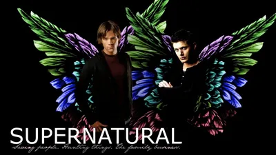Сверхъестественное HD обои #13 - 1920x1200 Скачать обои - Сверхъестественное  HD обои - Кино Обои - V3 сайта обоев