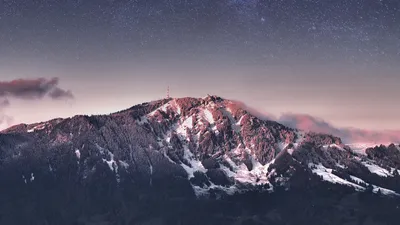 Обои на рабочий стол тумблер - фото и картинки abrakadabra.fun