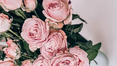 Обои Зима Природа Зима, обои для рабочего стола, фотографии зима, природа,  снег, дорога, ограда, деревья Обои для рабочего стола, скачать обои  картинки заставки на рабочий стол.
