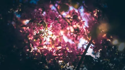 Pinterest | Обои для телефона, Обои, Обои на рабочий стол