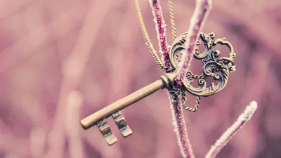 Обои на рабочий стол | Cute tumblr wallpaper, Wallpaper iphone neon,  Graffiti wallpaper i… | Cute tumblr wallpaper, Graffiti wallpaper iphone,  Wallpaper iphone neon
