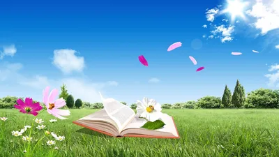 Обои книга, поле, цветы, полет, небо, природа, настроение картинки на рабочий  стол, фото скачать бесплатно