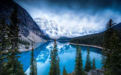 Обои для Wallpaper Engine - живые обои Windows 7, 8, 10