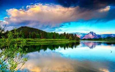 Весна первоцвет, подснежники, рисунок фото, обои на рабочий стол
