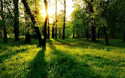 Картинки на рабочий стол природа и пейзажи красивые вертикальные (68 фото)  » Картинки и статусы про окружающий мир вокруг