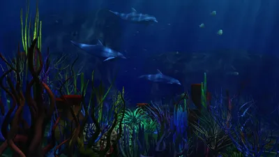 490+ Подводный мир - обои на рабочий стол HD | Скачать Бесплатно картинки