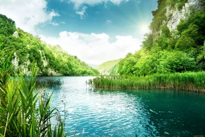 Обои Природа Реки/Озера, обои для рабочего стола, фотографии природа, реки,  озера, вода, зелень Обои для рабочего стола, скачать обои картинки заставки  на рабочий стол.