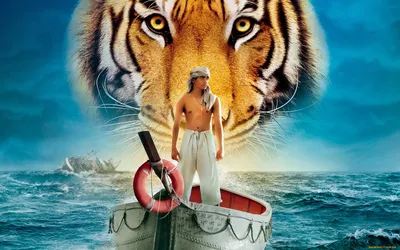 Обои Жизнь Пи Кино Фильмы Life of Pi, обои для рабочего стола, фотографии  жизнь, пи, кино, фильмы, life, of, pi, тигр Обои для рабочего стола,  скачать обои картинки заставки на рабочий стол.