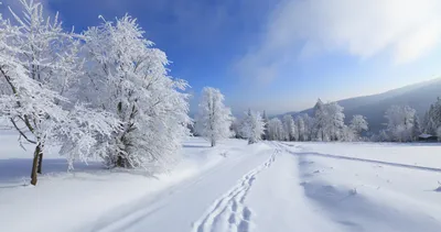 Фоновый рисунок на рабочий стол на весь экран природа зима (50 фото) »  рисунки для срисовки на Газ-квас.ком
